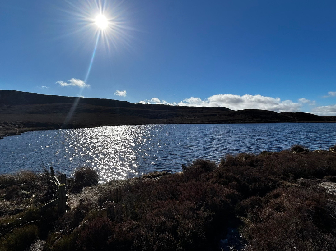 Rose and Thistle Inn主图