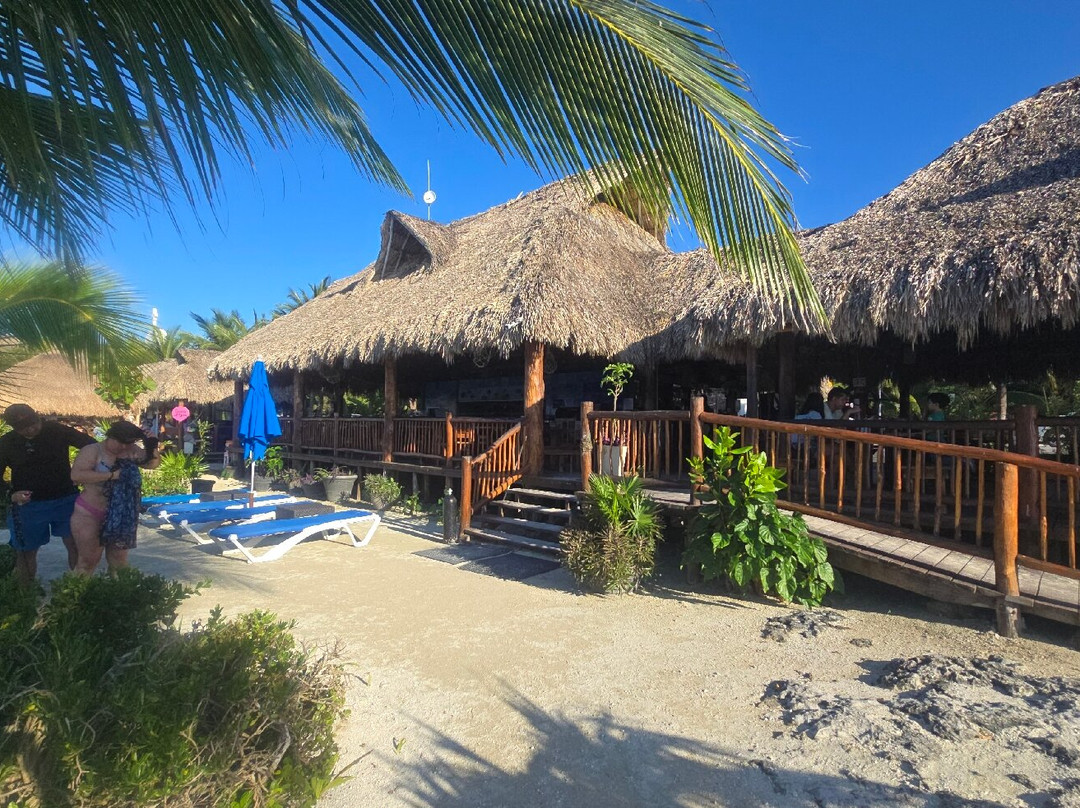 Skyreef Beach Club Cozumel-考祖梅必去景点
