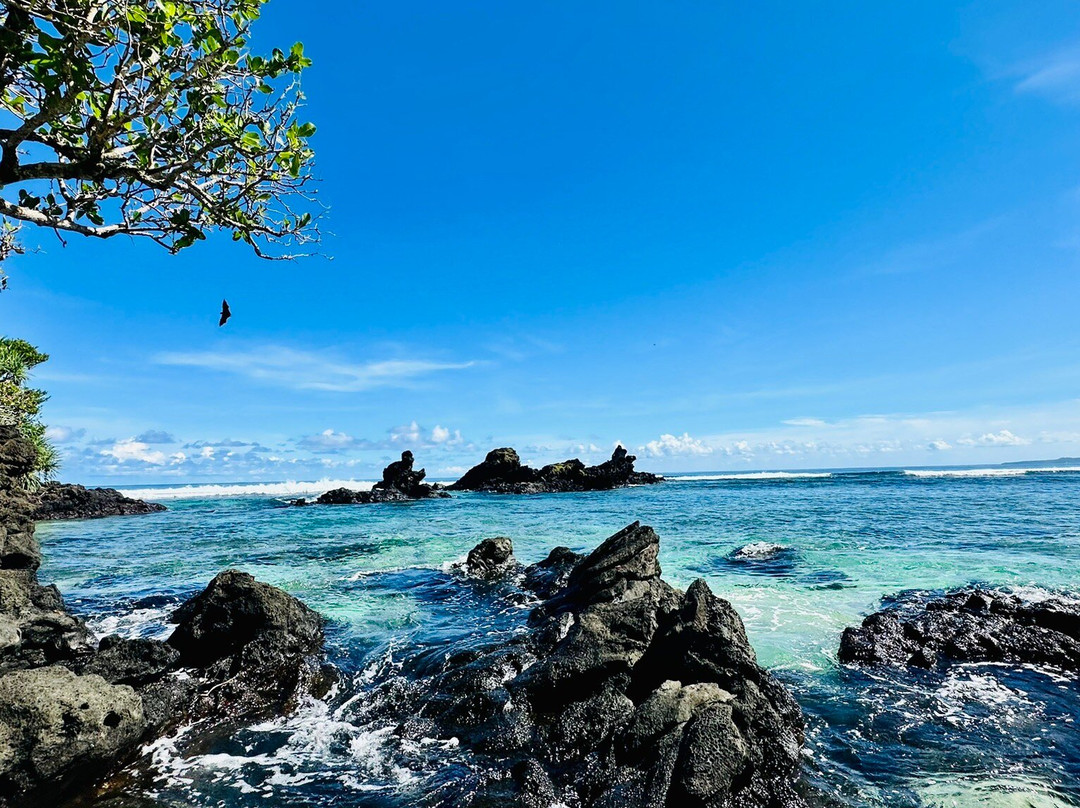 Two Dollar Beach景点图片