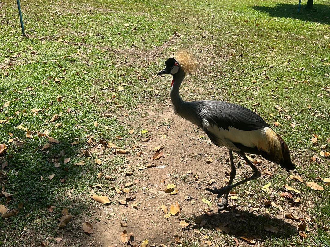 麦摩度假村主图