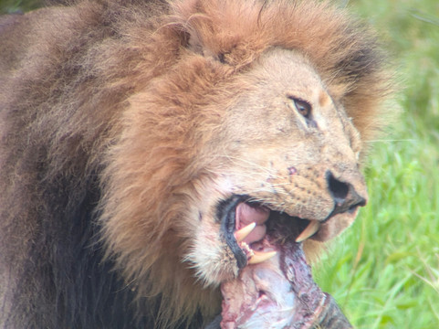 Wilson Tours Africa-吉佳利必去景点