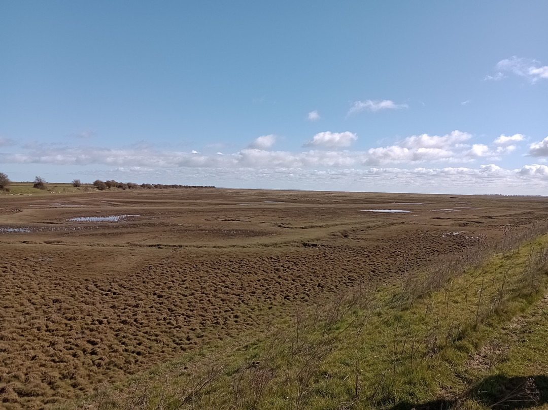RSPB Frampton Marsh景点图片