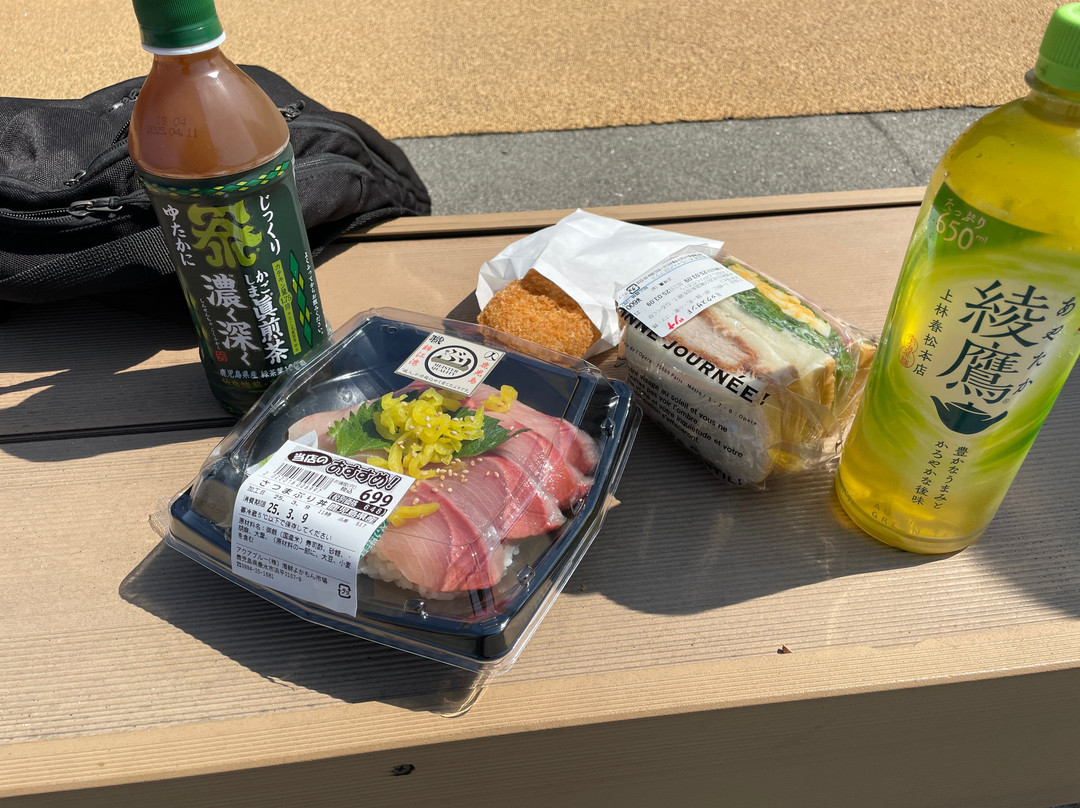 Michi-no-Eki Tarumizu-垂水市必去景点