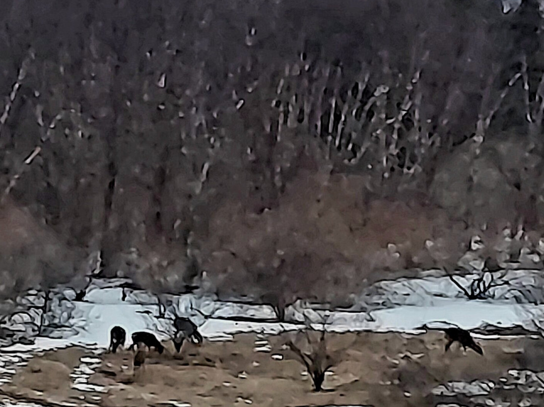 Maple Hill Farm Inn and Conference Center主图