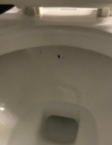 DoubleTree by Hilton Harrisonburg主图