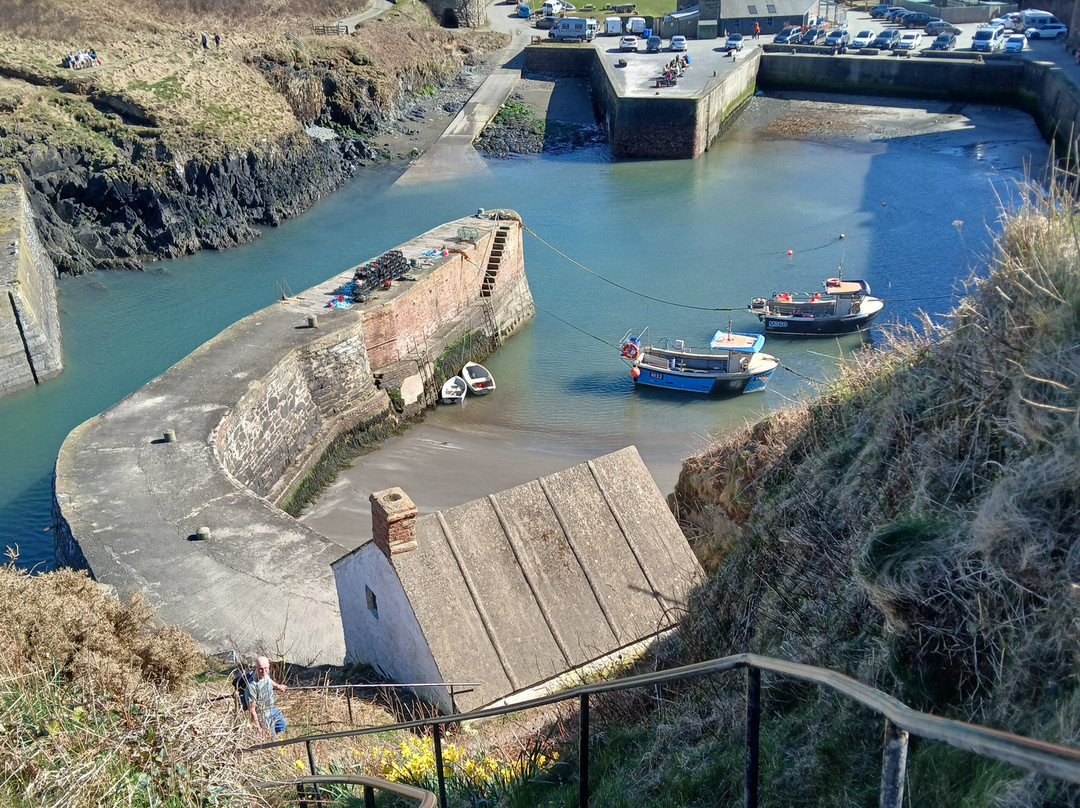 Porthgain Harbour景点图片