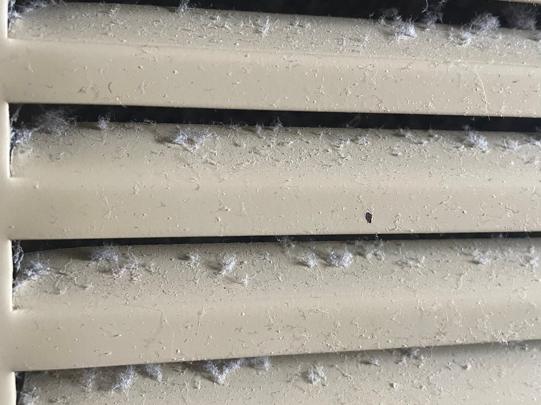 品质套房酒店主图