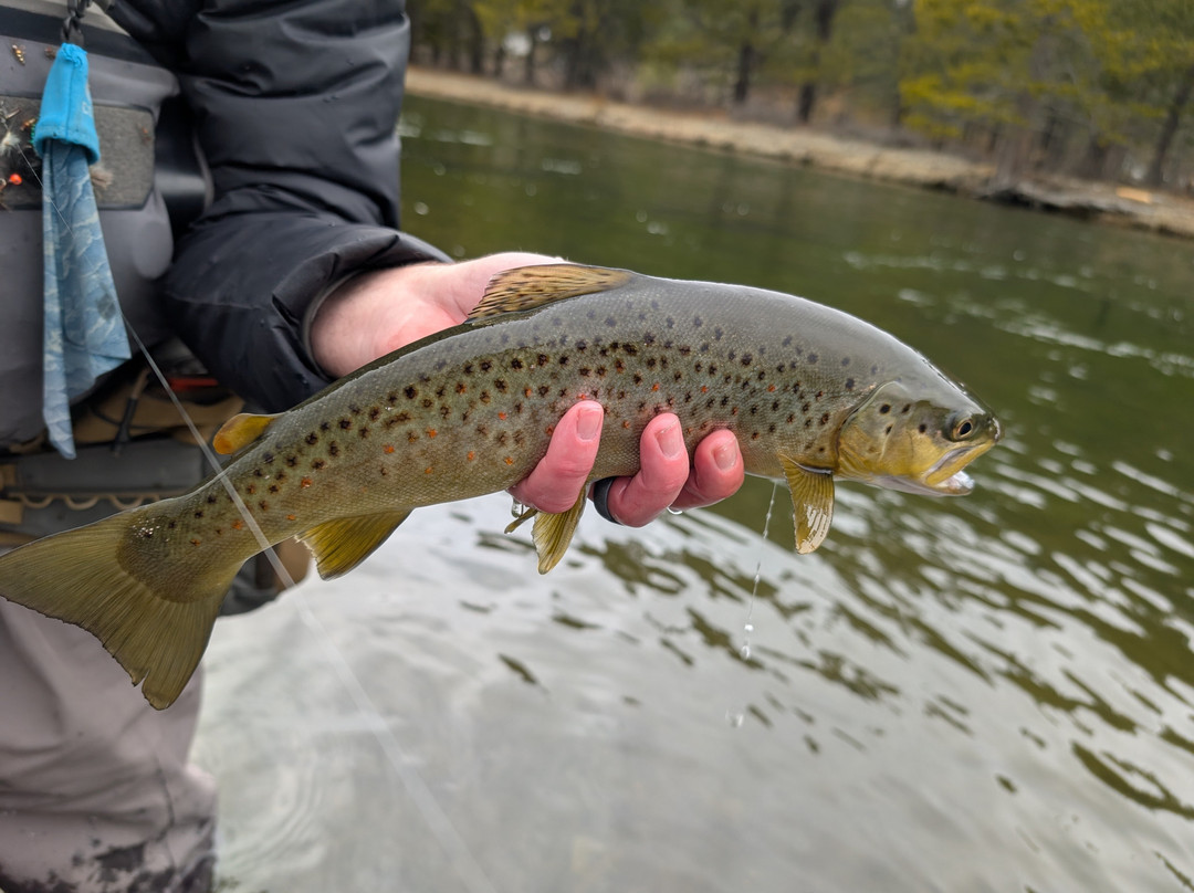 Matt Heron Fly Fishing景点图片