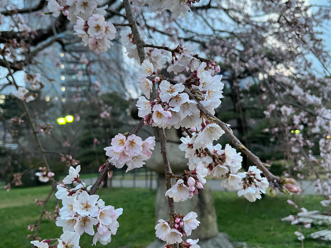 静冈城景点图片