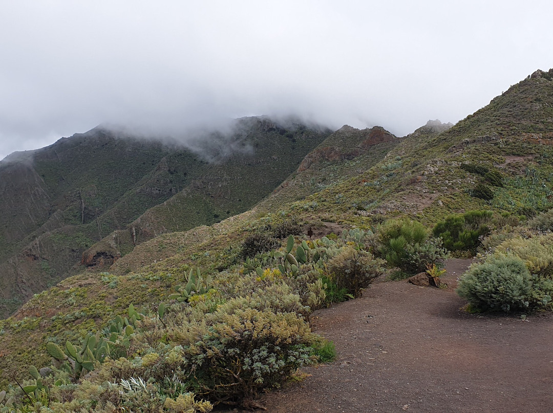 Sergio Walking Tours-特纳里夫必去景点