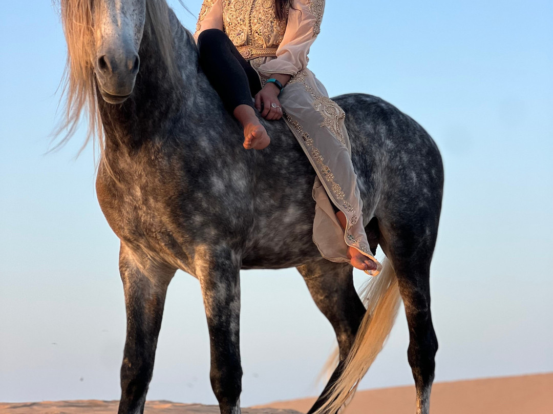 Ocean Ranch Essaouira-索维拉必去景点