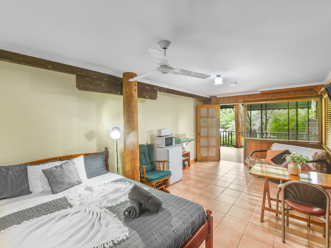 Atherton Blue Gum主图