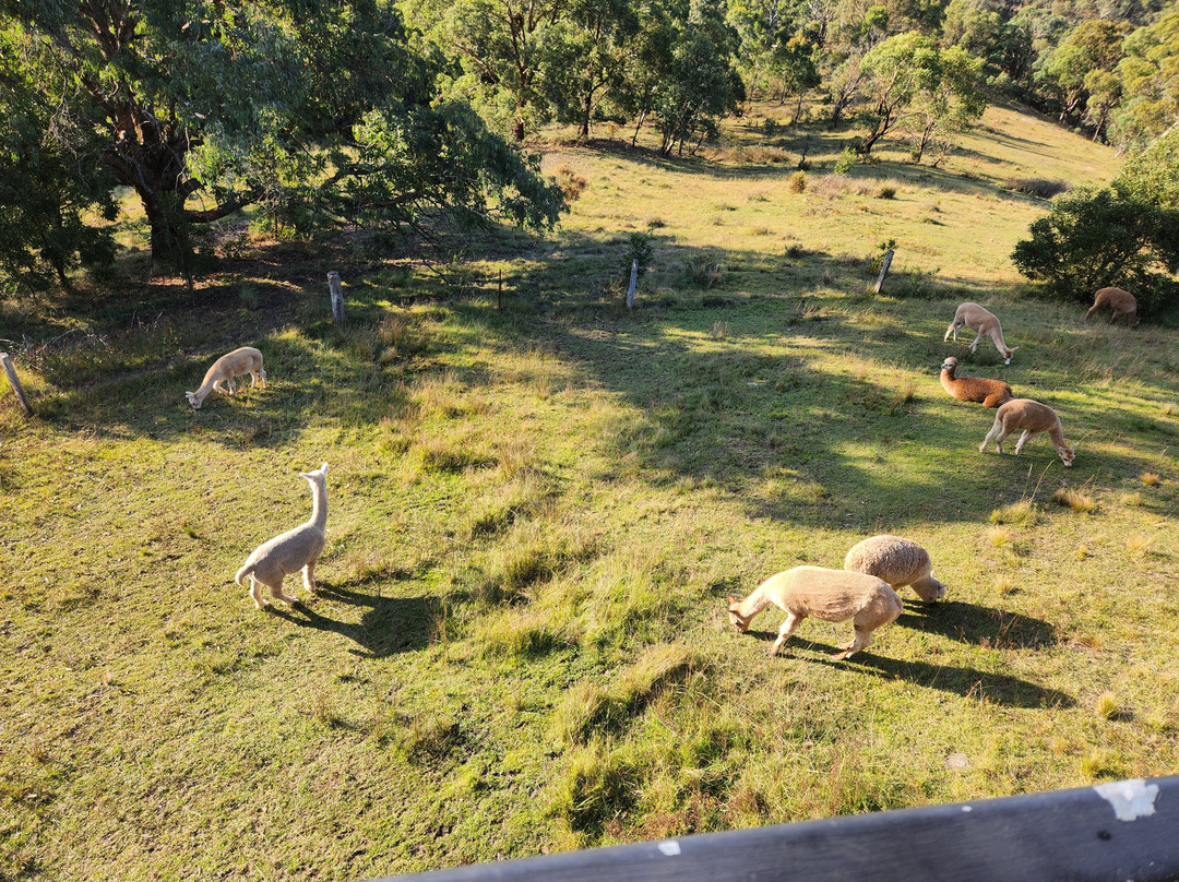 老鹰伊思凯普景观酒店主图