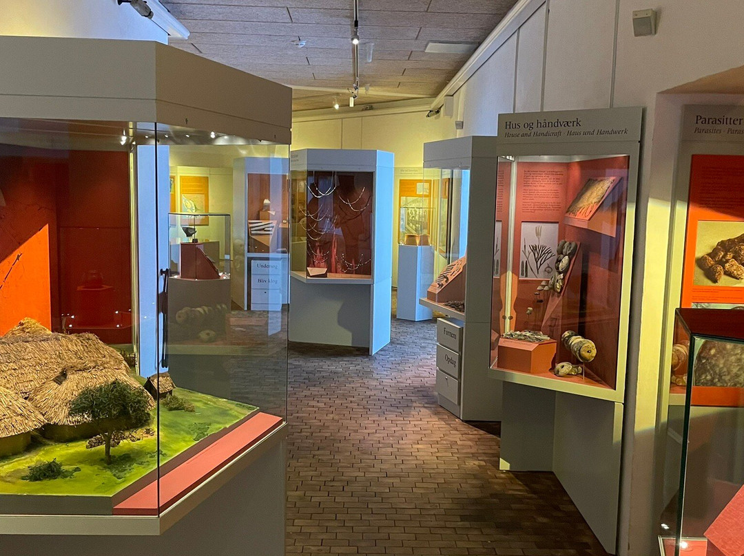 Museet Ribes Vikinger景点图片