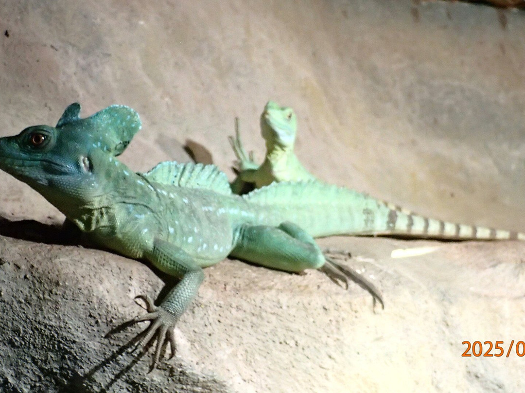 Zoo Brno-布尔诺必去景点