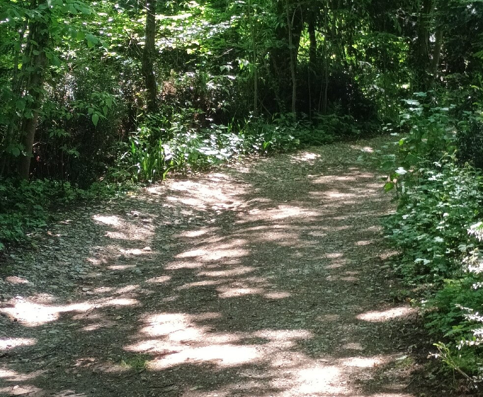 Parco naturale di Frassanelle景点图片