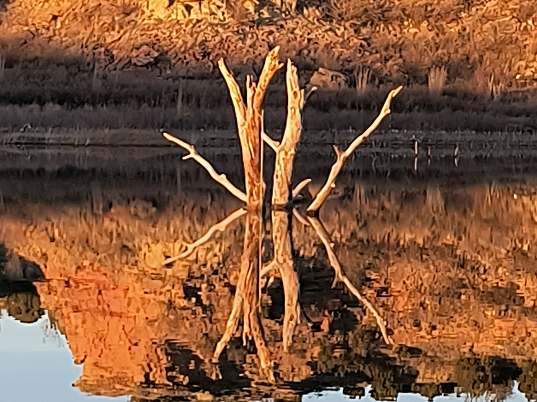 Lake Mackenzie景点图片