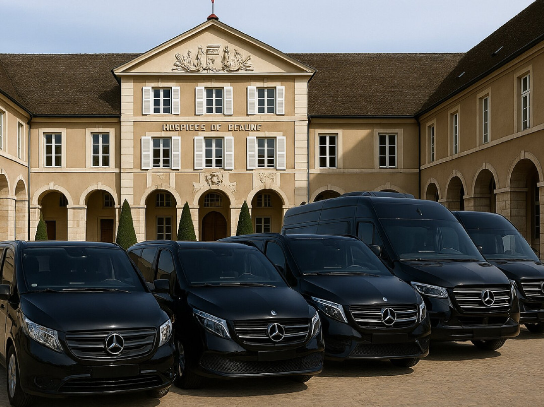 VTC Lyon Chauffeur Privé景点图片