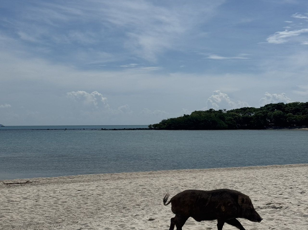 Ocean King Samui景点图片