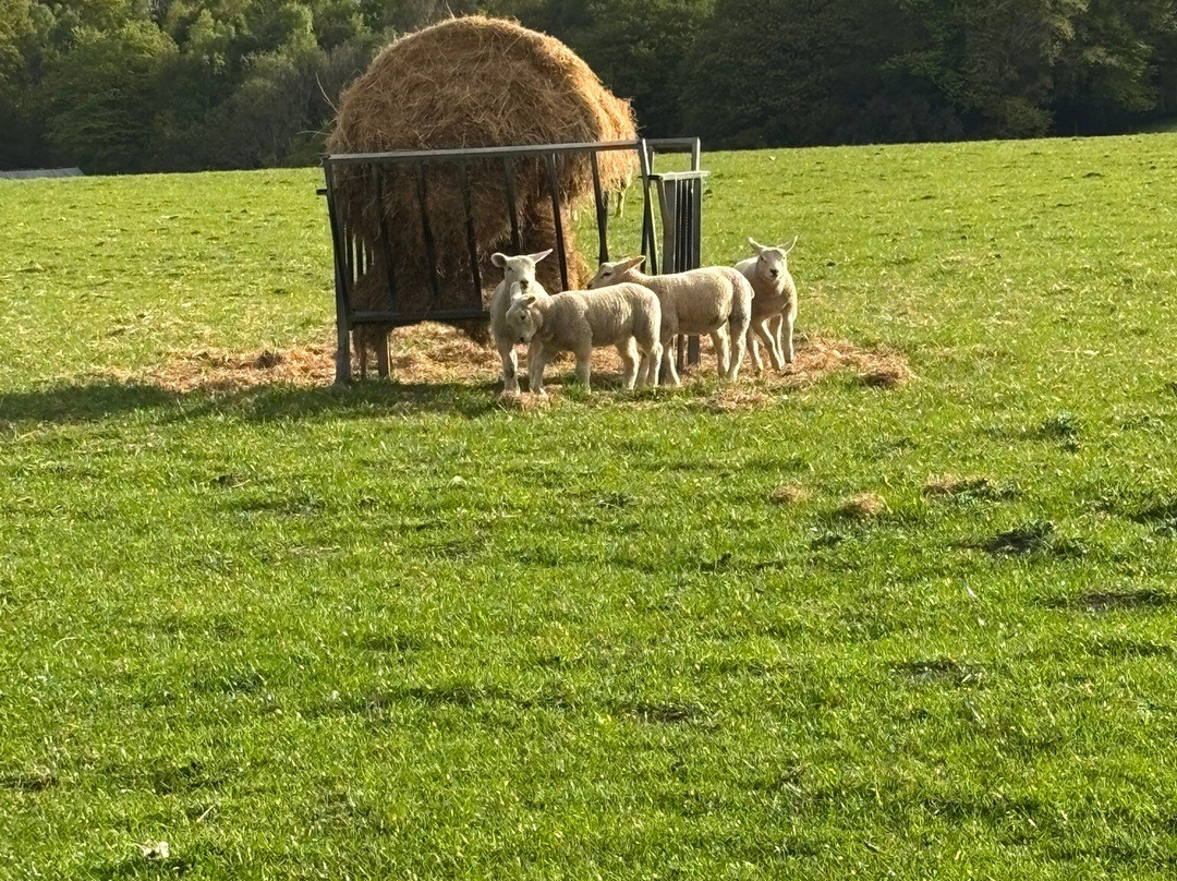 Rye Hill Farm主图