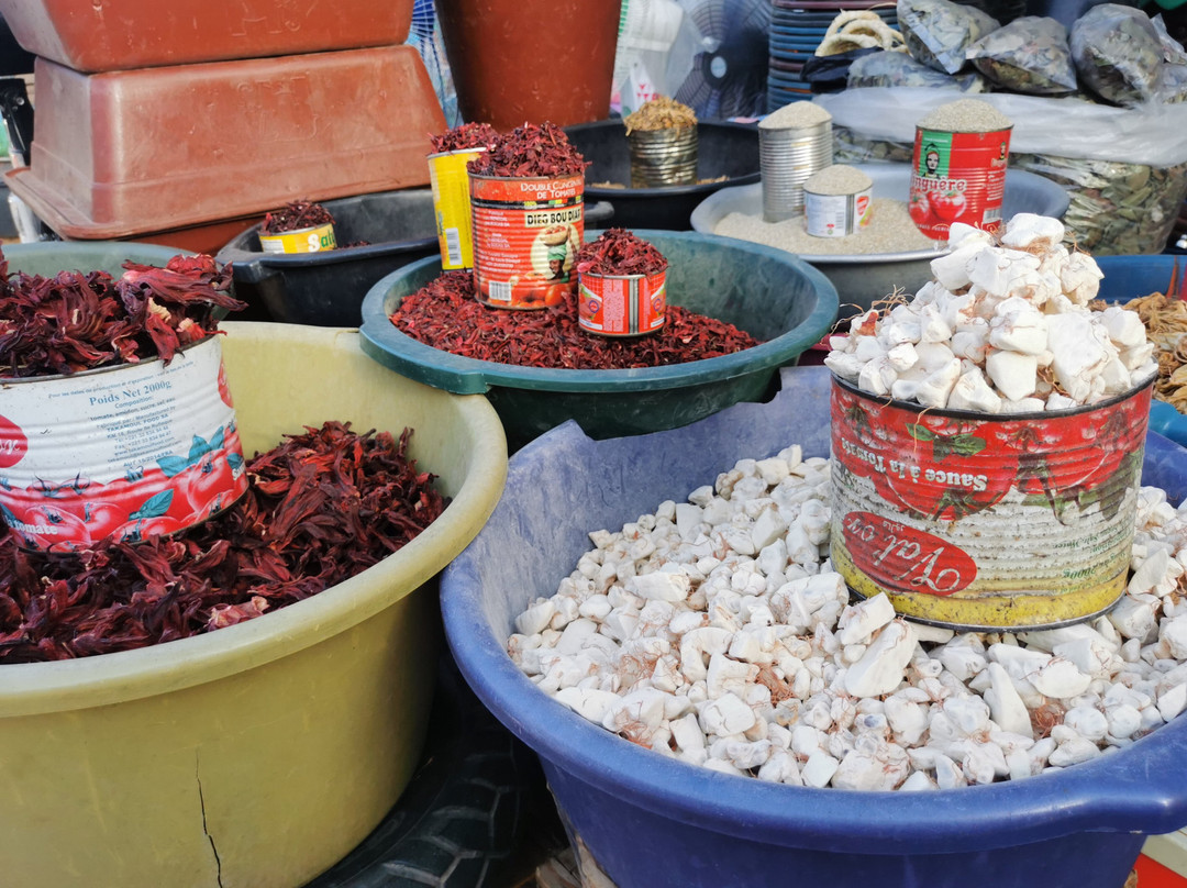Yerim Tours Senegal景点图片