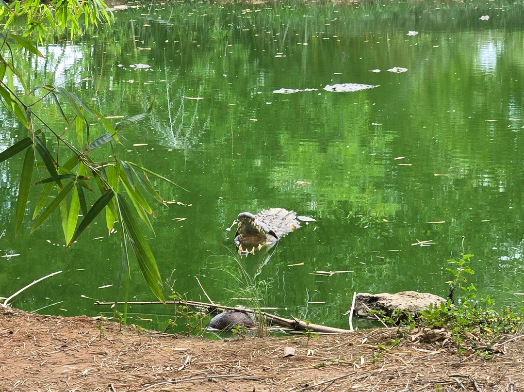 Crocodile Farm-Moron必去景点