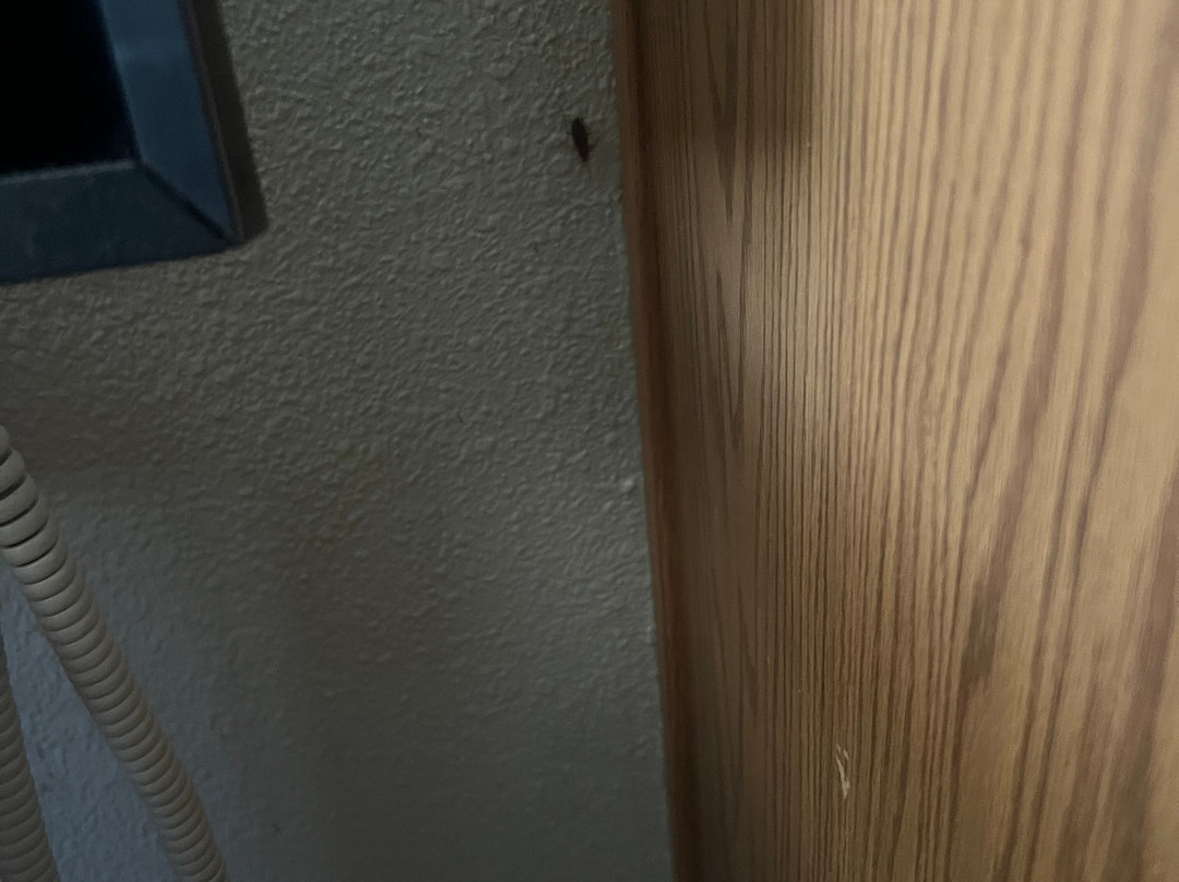 Extended Stay America Select Suites - Louisville - South主图