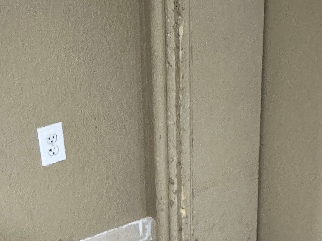 Microtel Inn & Suites By Wyndham Jacksonville Airport主图