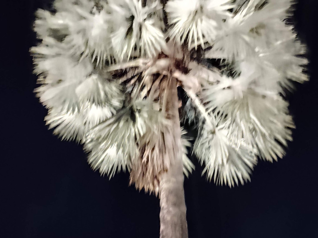 Igreja Matriz-Miguel Pereira必去景点