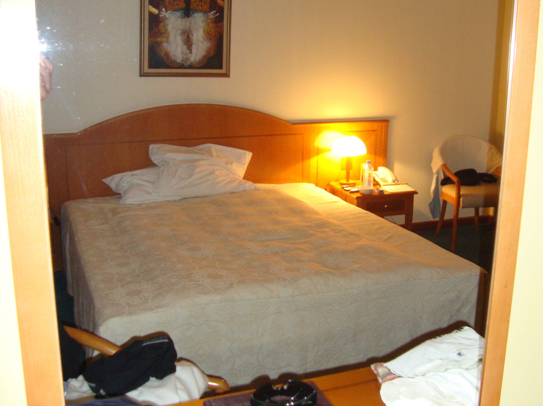 Hotel Aleksandar Palace主图