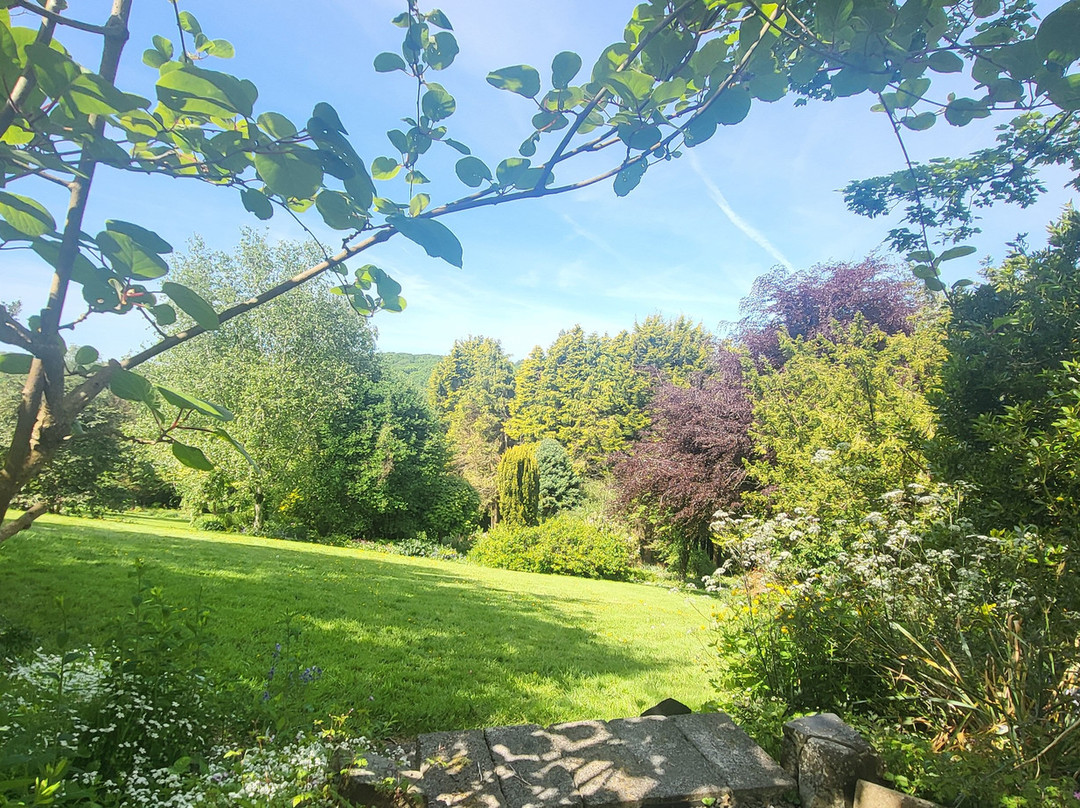 Cae Hir Gardens-Cribyn必去景点