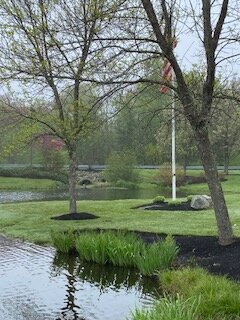 Memorial Park景点图片