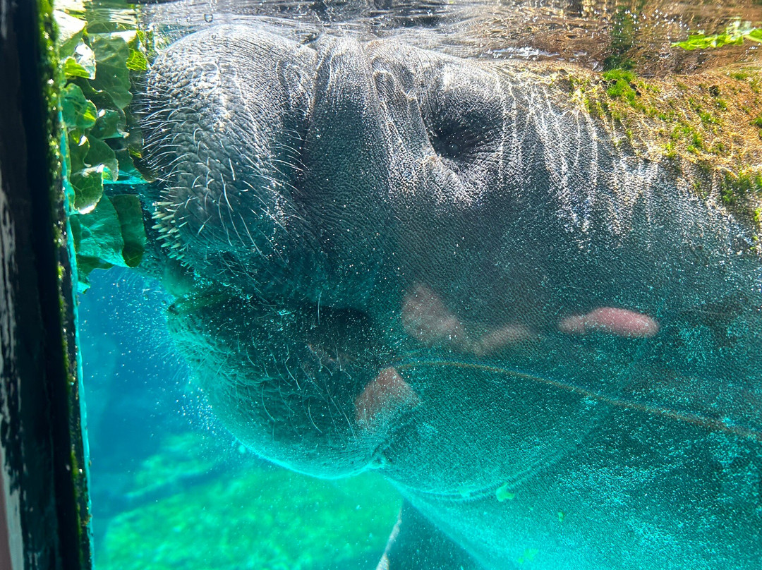 Gulfarium Marine Adventure Park-华尔顿堡滩必去景点