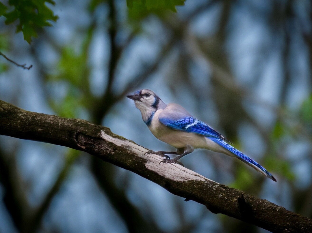 The Grove-格伦维尤必去景点
