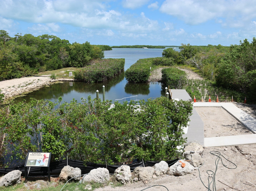 Green Turtle Hammock Nature Preserve-伊斯拉摩拉达必去景点