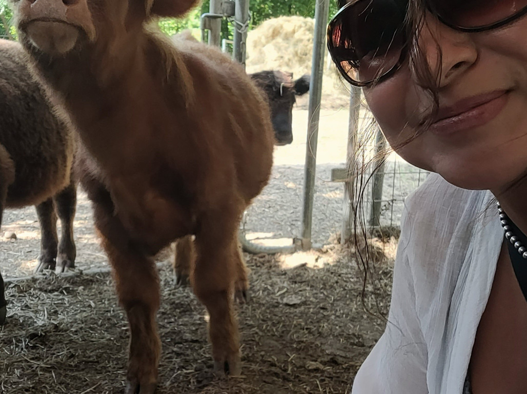 Priority Farm LLC-Sanford必去景点