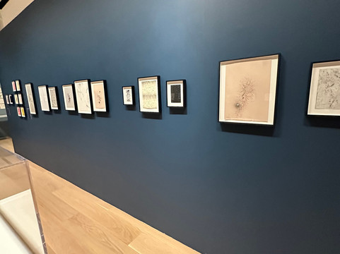 素描中心-纽约市必去景点