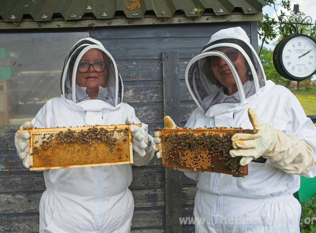The Bee Centre-乔利必去景点