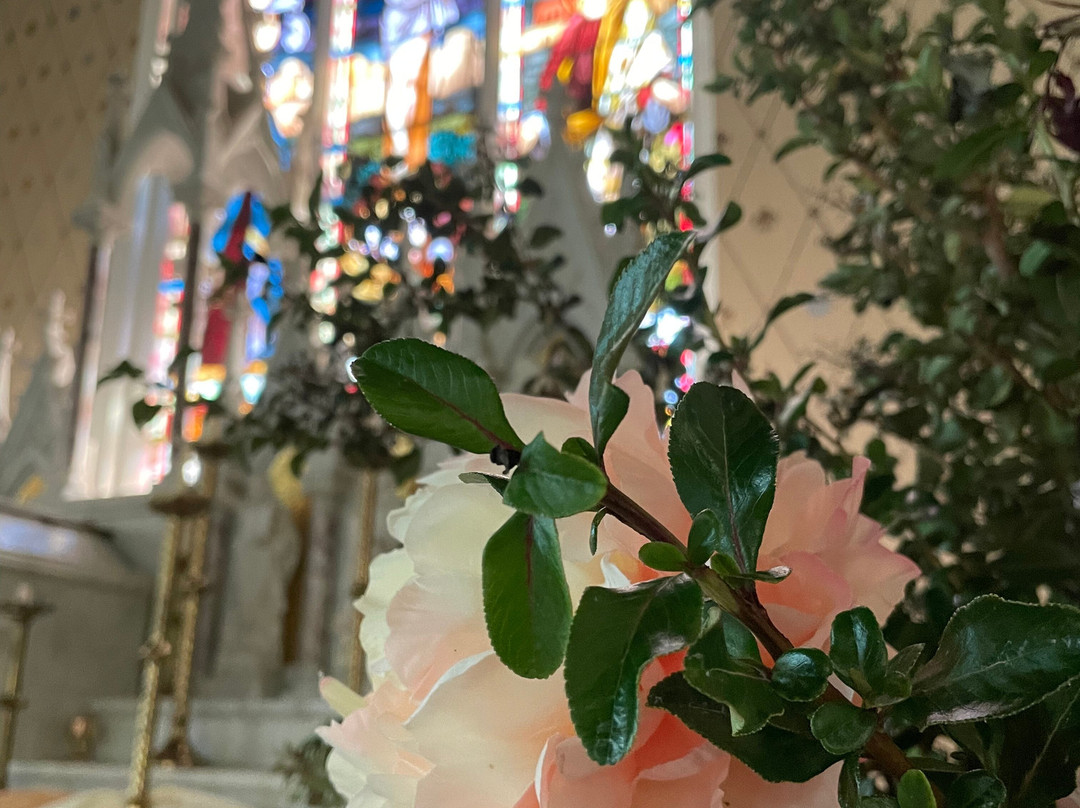 St Patrick's Catholic Church Boorowa-Boorowa必去景点