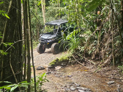 Cassowary Falls ATV Tours-Daintree必去景点