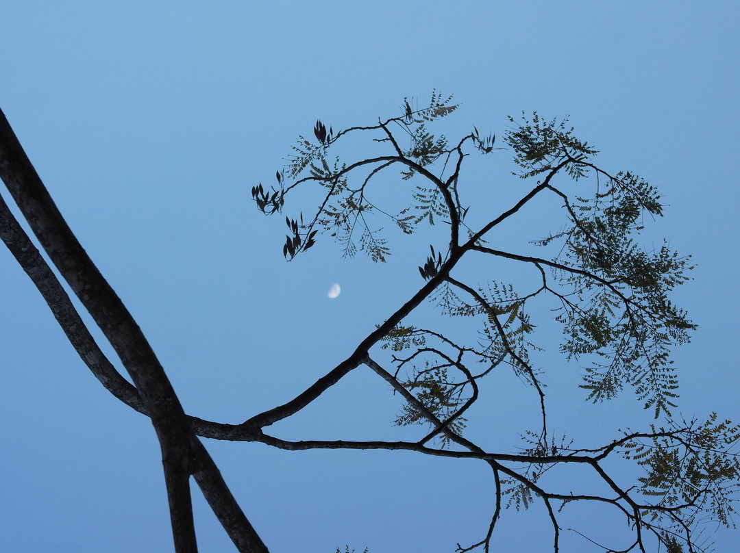 Parque Municipal Dom Jose-巴卢韦利必去景点