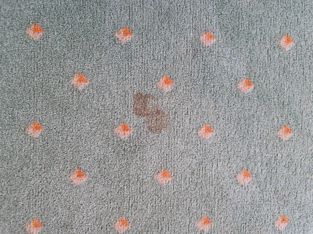 Hotel Gasthof - Thaneller主图