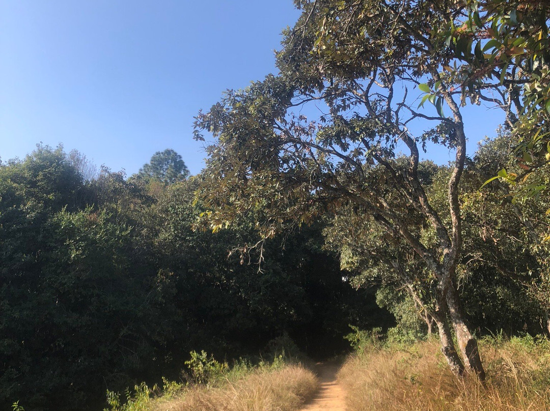 纳嘉郡森林保护区-加德满都必去景点