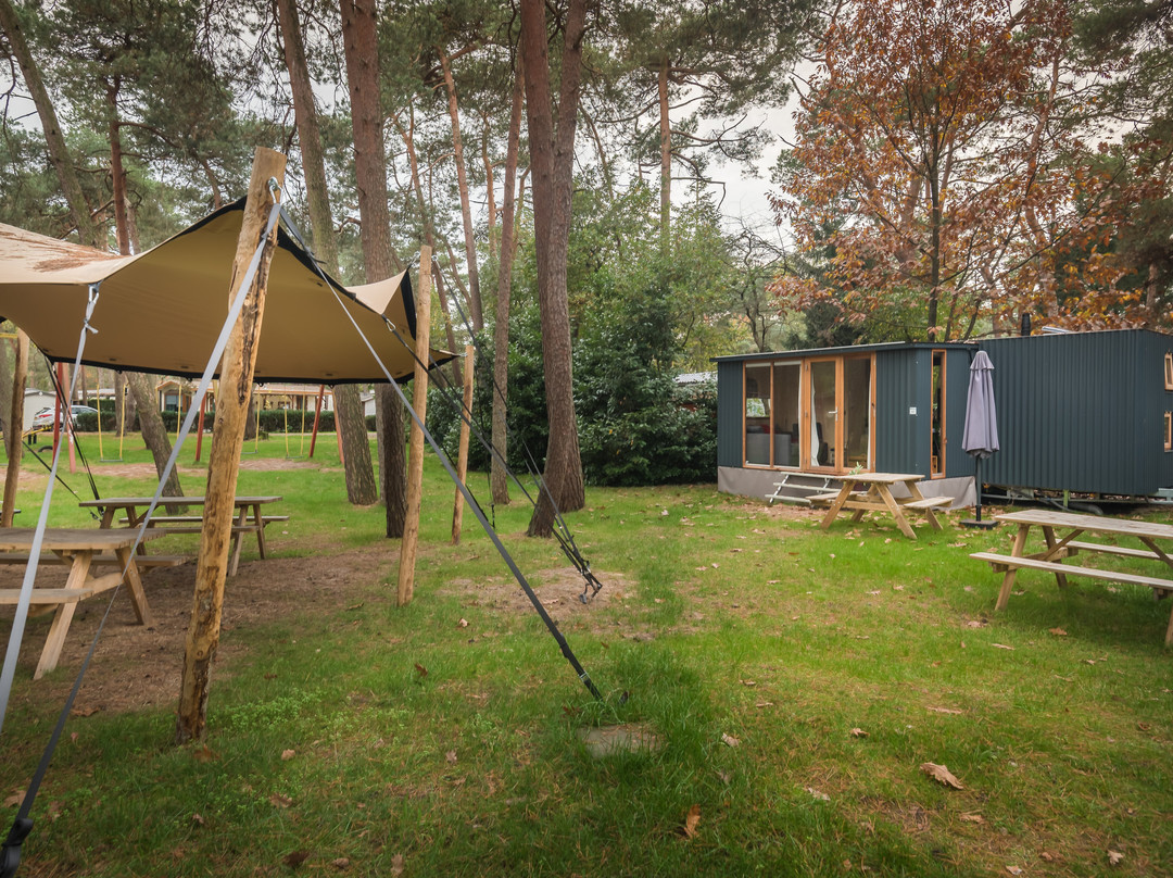 Bos Park Bilthoven-Bilthoven必去景点