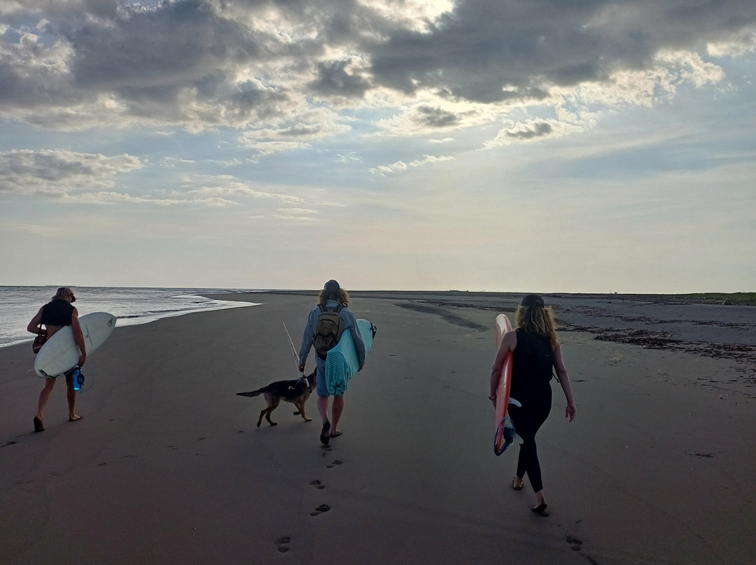 Surfer Paradise Private Island景点图片