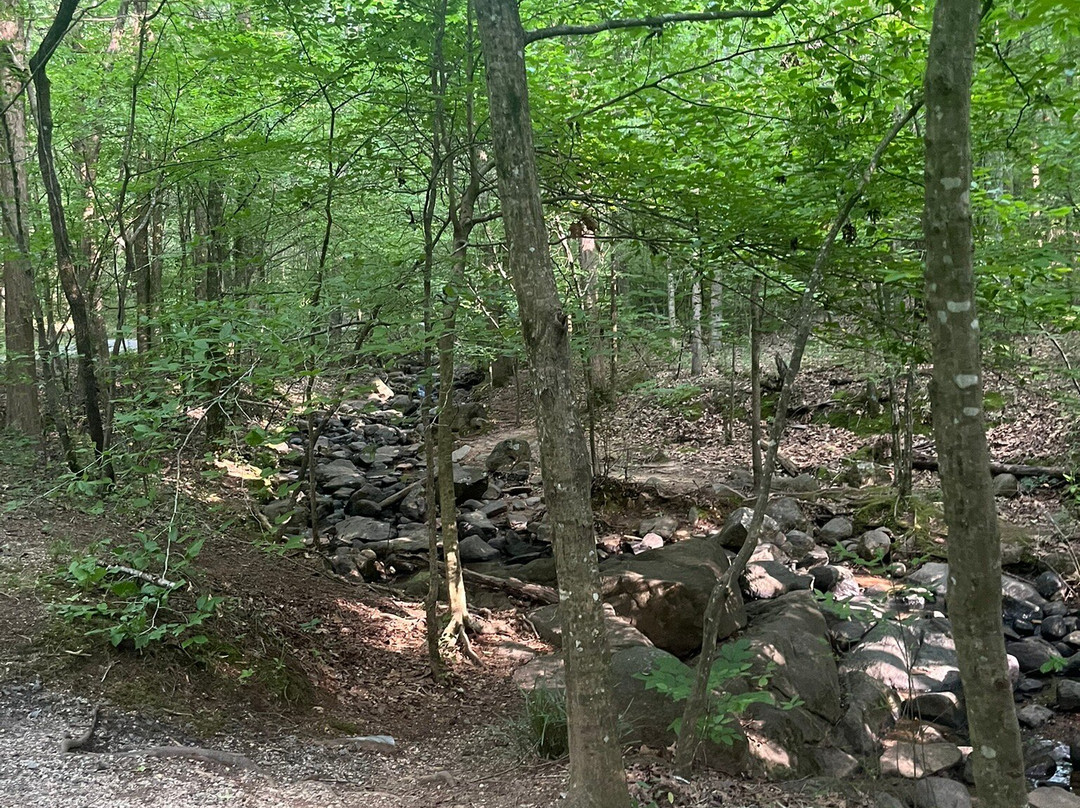 McDowell Nature Center and Preserve景点图片