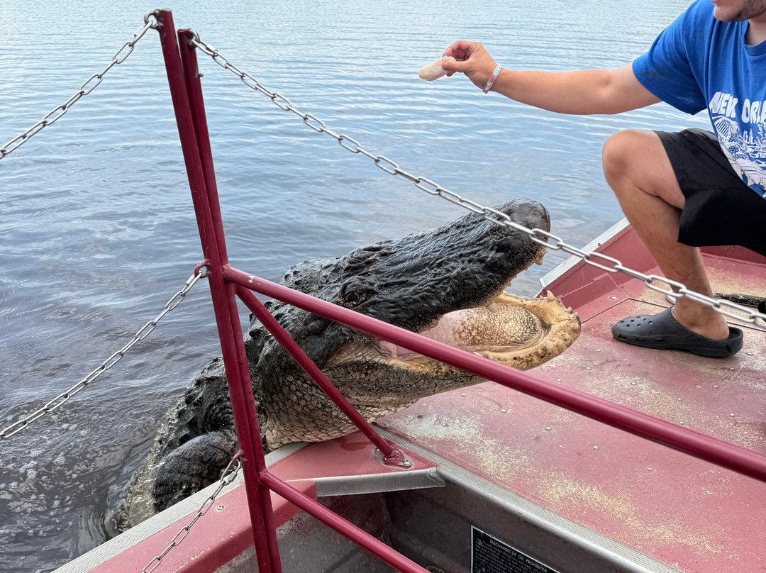 New Orleans Airboat Tours景点图片
