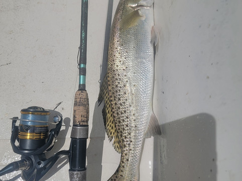 Brown's Inshore Guide Service-橙色海湾必去景点