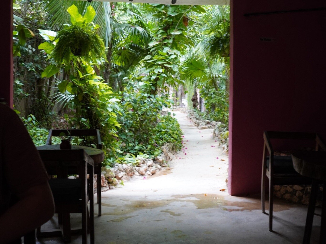 Los Colibries Mayan Jungle Spa-从莫雷洛斯港必去景点