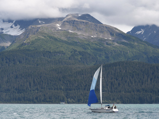 Resurrection Bay Sailing Charters